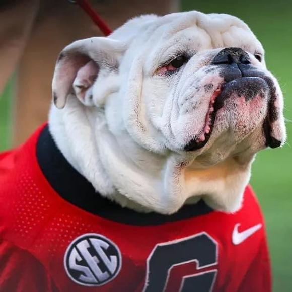 Meet your Posher, Debbie - Picture 1 of 1